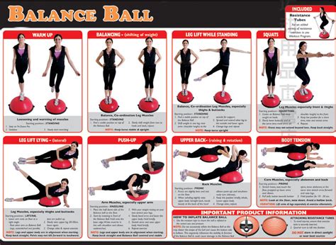 half ball fitness|half ball for balancing exercise.